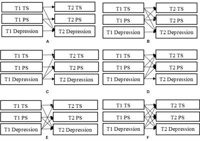 Is Social Support a Cause or Consequence of Depression? A Longitudinal Study of Adolescents